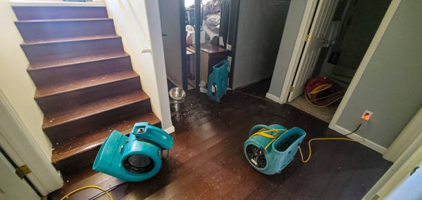 Best Residential water damage restoration  in Kennesaw, GA