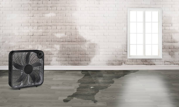 Best Professional water damage repair  in Kennesaw, GA